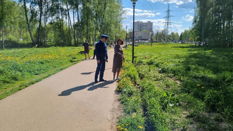 Возбуждено уголовное дело о самоуправстве при благоустройстве Павловского парка