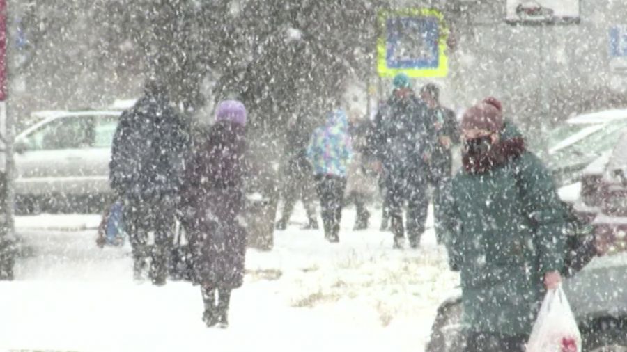 На Ярославскую область надвигается мощный снегопад