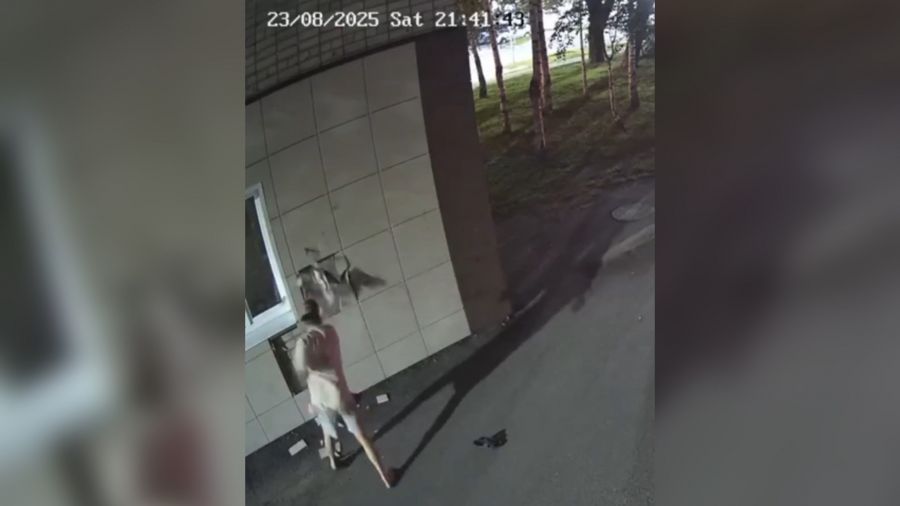 В Ярославле прохожие задержали разрисовавшего стену подземного перехода вандала