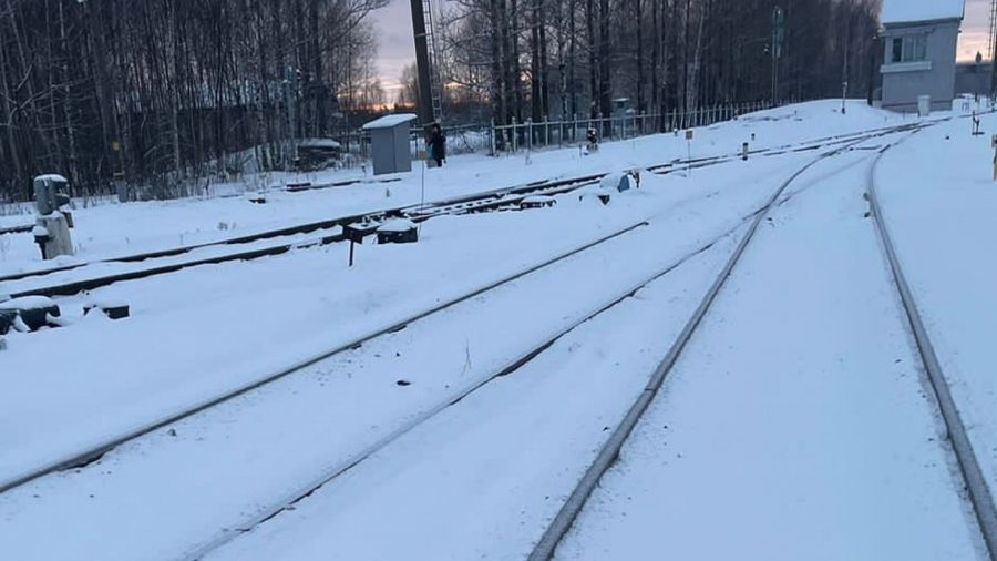 В Рыбинске на железнодорожных путях нашли обезглавленное тело мужчины