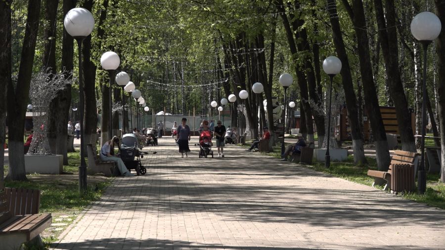 В ярославском Юбилейном парке установят шезлонги
