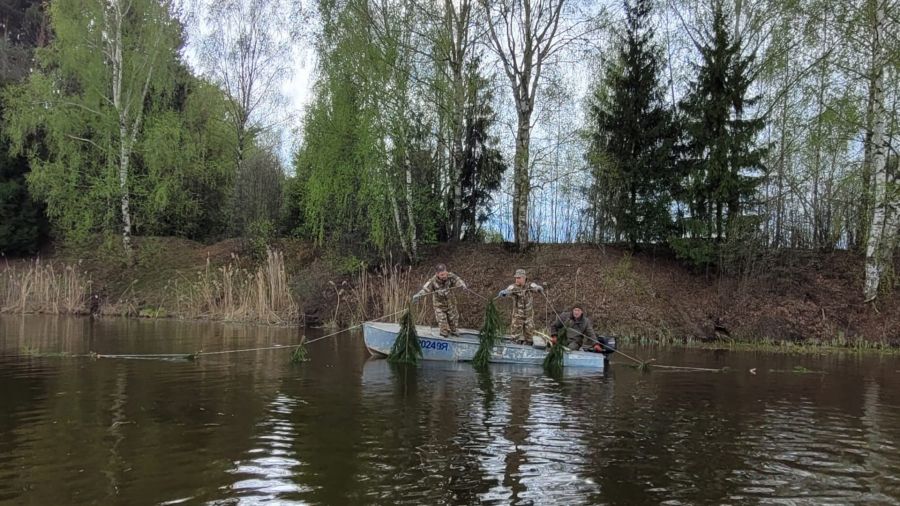 В водохранилищах Ярославской области появились искусственные нерестилища