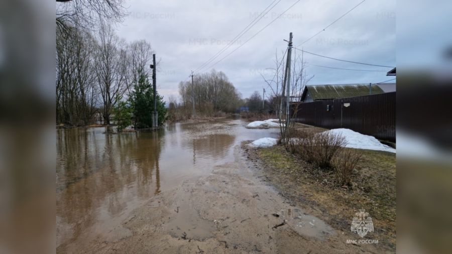 В Борисоглебском подтопило приусадебные участки