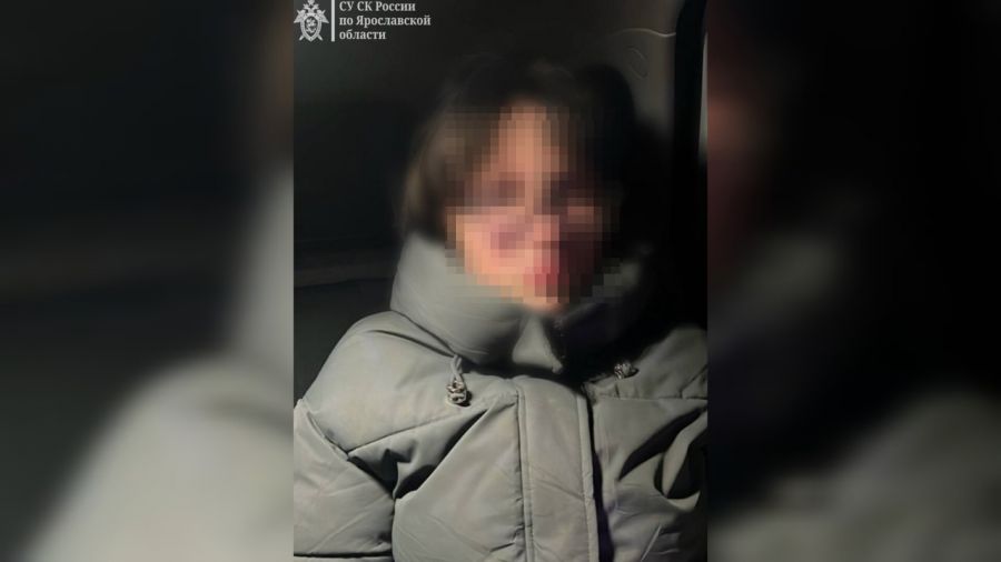 В Ярославской области нашлась 11-летняя девочка, которую полиция и волонтеры искали несколько дней