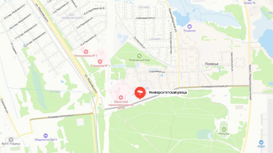Проект улицы Университетской в Ярославле оценили в 10 миллионов рублей