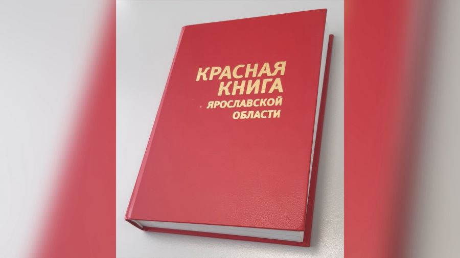 В 2025 году выйдет третье издание Красной книги Ярославской области