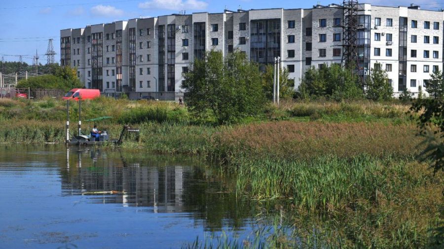 В Ярославле очищают пруд на улице Папанина