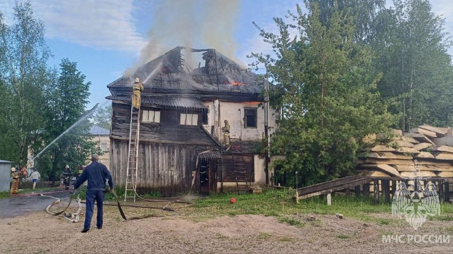 В селе Новый Некоуз при пожаре в доме погибли собака и три кошки