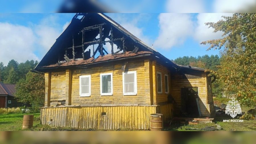 Поджог мог стать причиной пожара в Некоузском округе