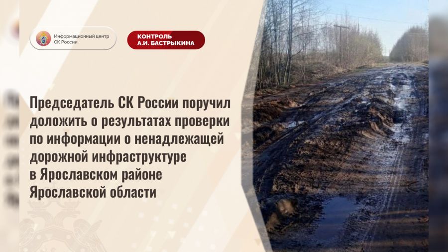 Глава СКР поручил доложить о результатах проверки информации о разрушении дороги под Ярославлем