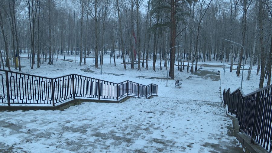 В Ярославле возбудили уголовное дело по факту хищения при благоустройстве парка