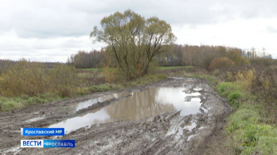 Жители деревни Юркино Ярославского района страдают от бездорожья