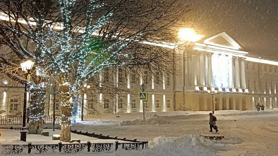 В Ярославле хотят запретить украшать деревья гирляндами