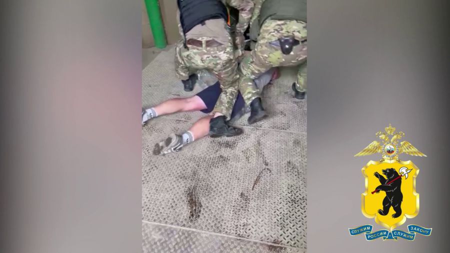 В Ярославле полиция задержала двух пьяных хулиганов, оскорблявших участкового