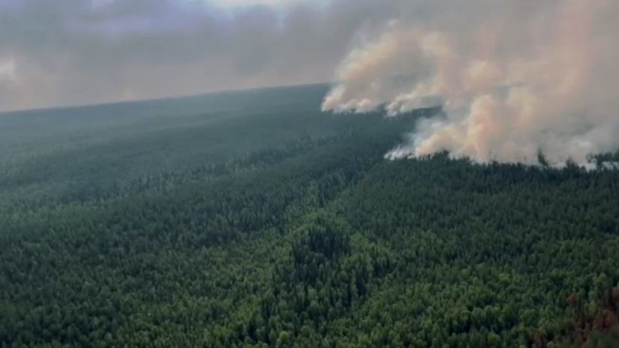 В Мышкинском районе горят торфяники