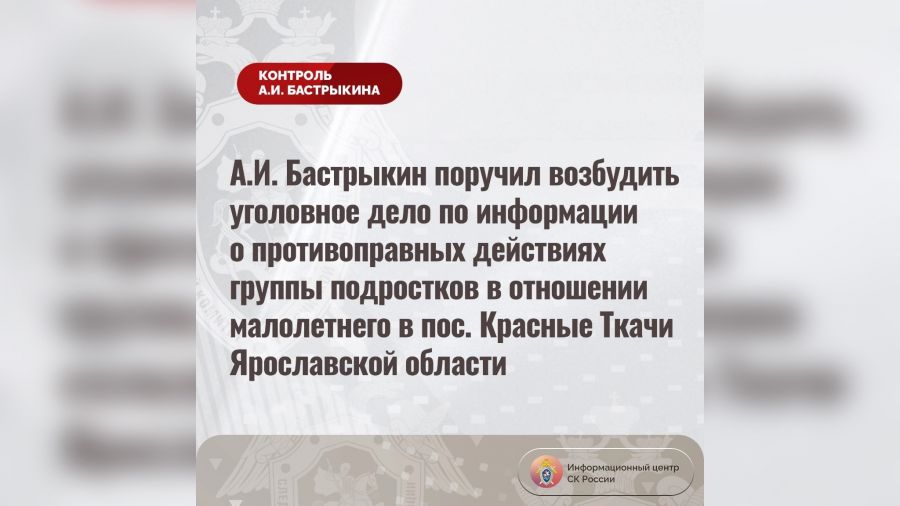 Глава СК РФ поручил возбудить уголовное дело после информации об избиении подростка в Красных Ткачах