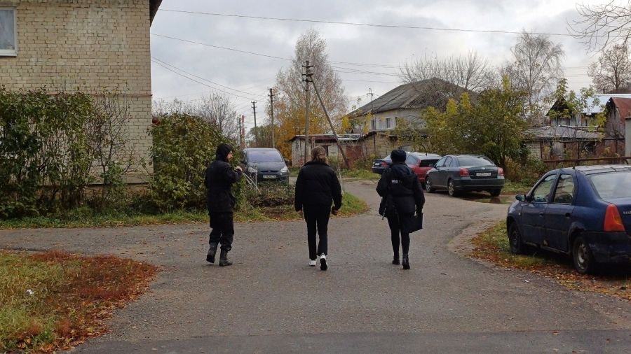 В поселке под Ярославлем поймали собаку, покусавшую школьника