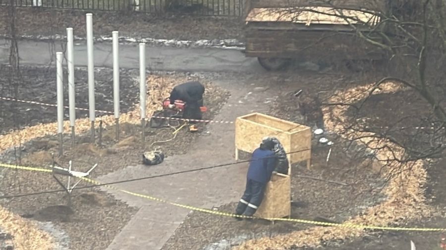 «Музыкальную грибницу» на Доброхотова в Ярославле законсервировали