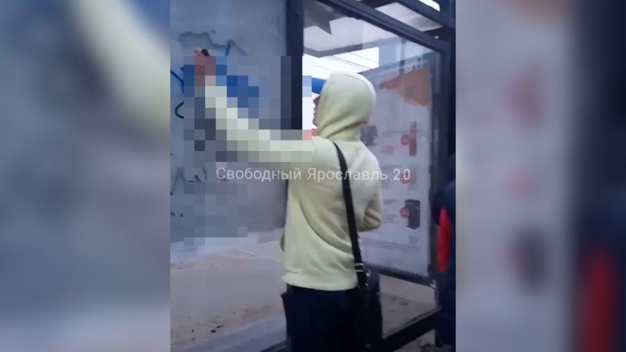 В Ярославле установили личность вандала, который разрисовал остановку на Папанина