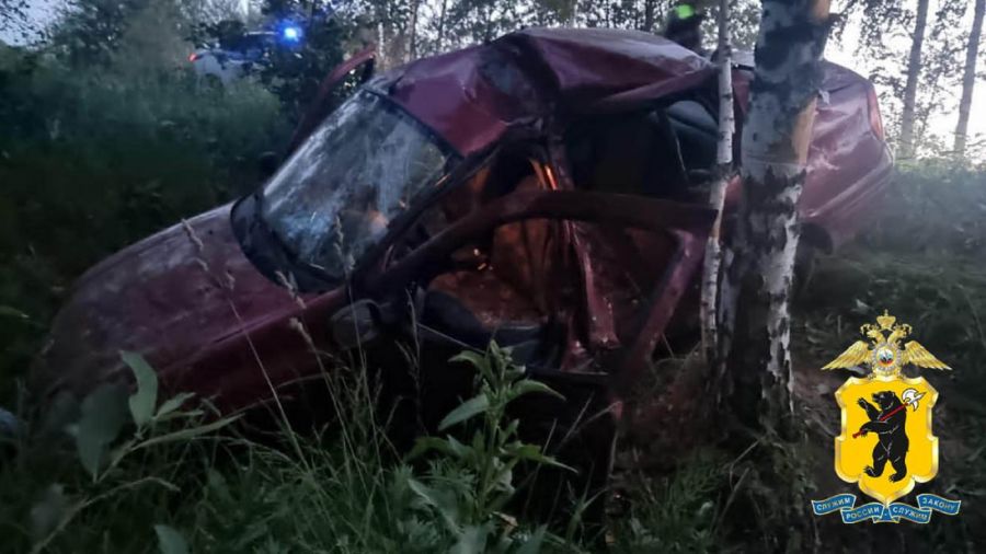 В Угличском районе машина вылетела в кювет и врезалась в дерево. Пострадали трое