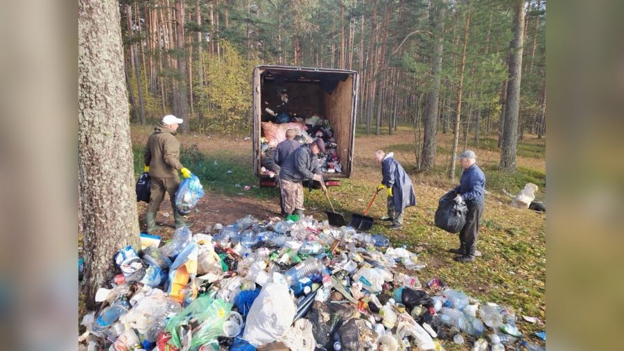 Из лесов Ярославской области убрали более 450 кубометров мусора