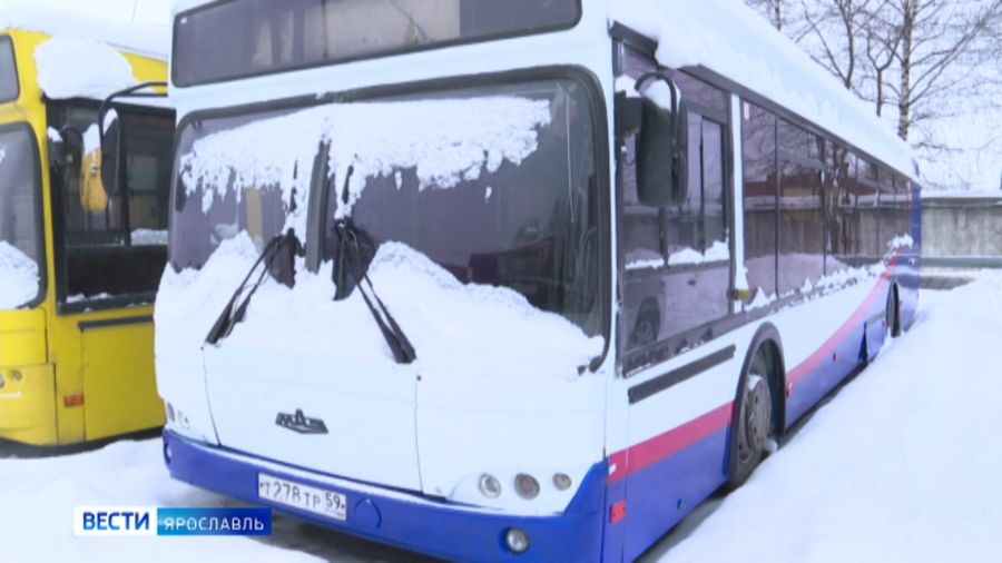 В мэрии Ярославля прокомментировали судебные тяжбы между ПАТП-1 и лизинговыми компаниями