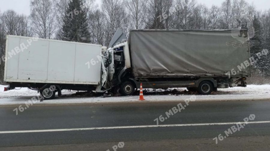 В Ярославской области в столкновении двух грузовиков погиб 25-летний водитель