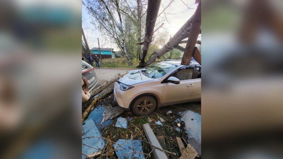 В Переславле рухнувшее дерево повредило автомобиль и крышу дома