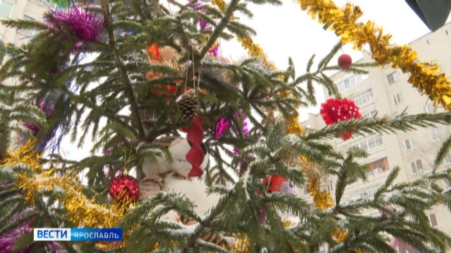 В Ярославле утвердили 12 мест для запуска фейерверков в новогоднюю ночь