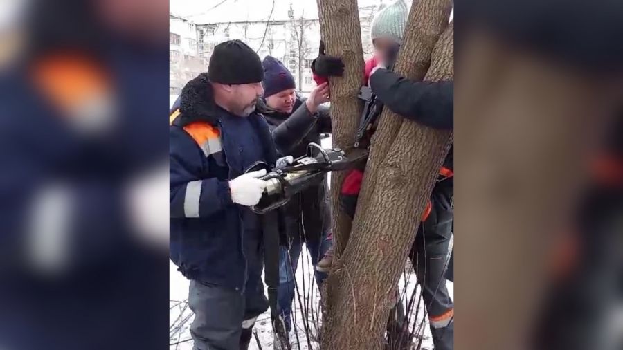 В Ярославле нога девочки застряла между стволами дерева