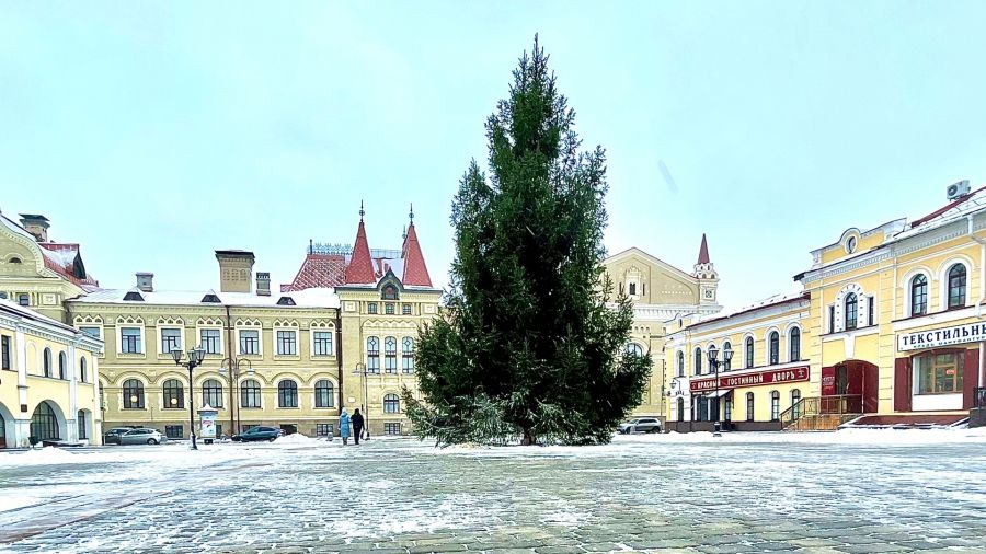 В Рыбинске на Красной площади появилась живая ель