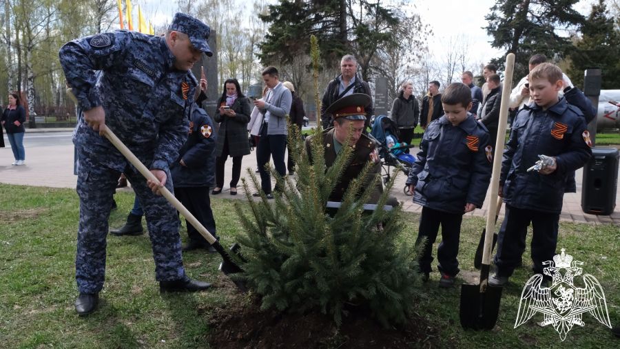 Первоклассники и росгвардейцы высадили голубые ели на Алее Славы в Ярославле