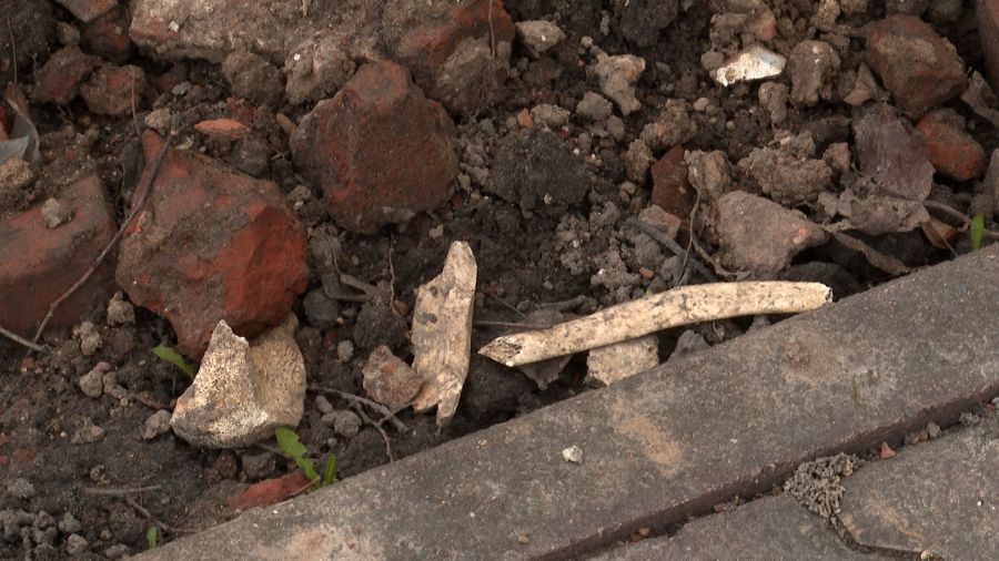 В Ярославле во время коммунальных работ обнаружили кости