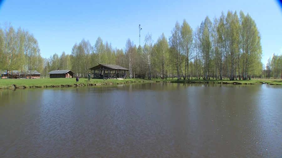 Жители Брейтовского округа незаконно выловили рыбы на 140 тысяч рублей
