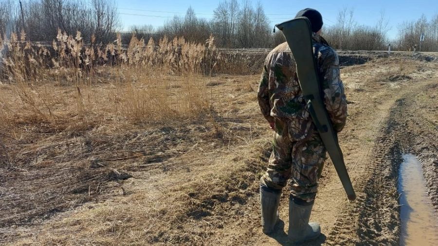 В Ярославской области начался сезон охоты на пушных животных