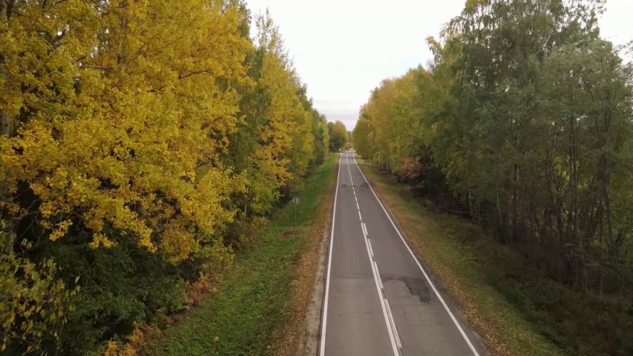 В Ярославской области построят новый участок трассы М-8
